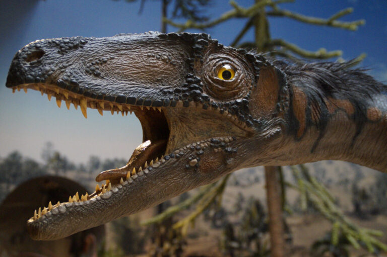 Dinosaurier mit Speck-, nein Geldpölsterchen