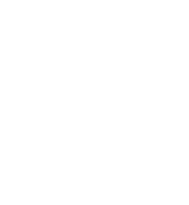 20 Jahre BiPRO Jubiläumslogo