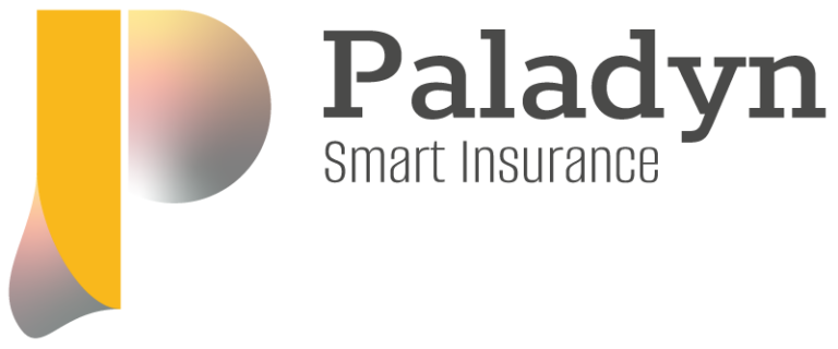 Paladyn GmbH