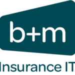 B+M Insurance IT GmbH & Co. KG